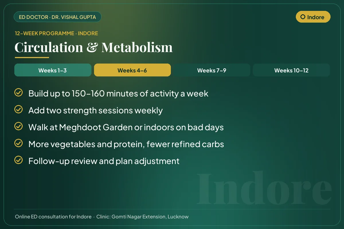 Weeks 4–6 of the 12-week erectile dysfunction programme for Indore patients: circulation & metabolism