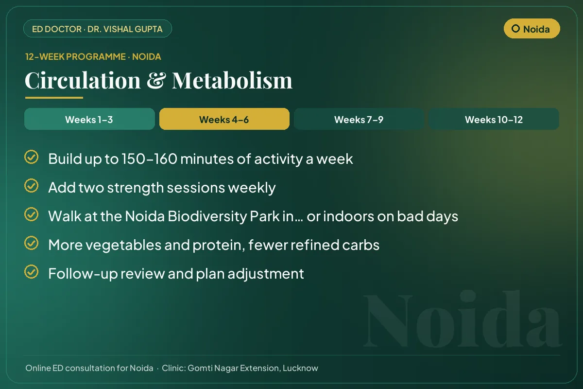 Weeks 4–6 of the 12-week erectile dysfunction programme for Noida patients: circulation & metabolism