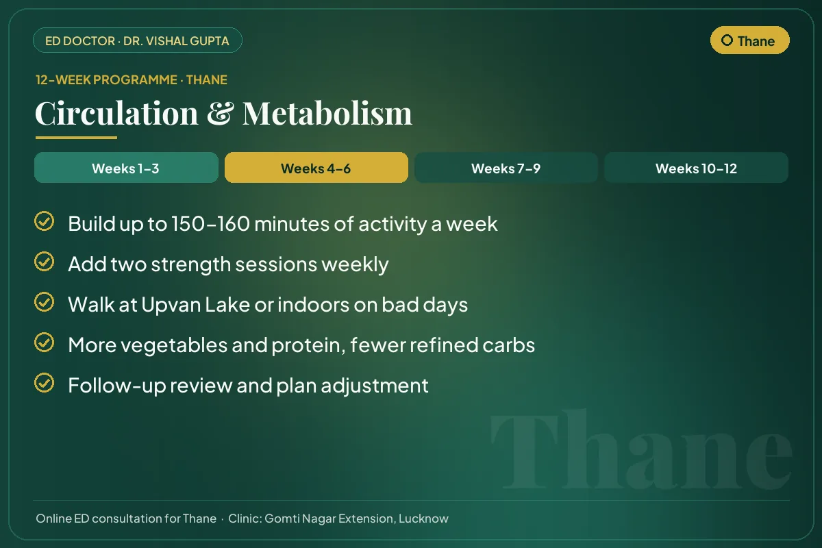 Weeks 4–6 of the 12-week erectile dysfunction programme for Thane patients: circulation & metabolism